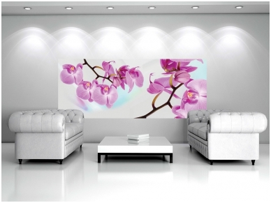 FOR WALL fototapetai 0116VE XXL 2