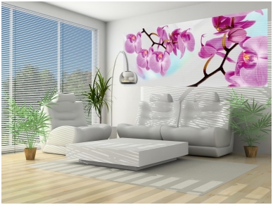 FOR WALL fototapetai 0116VEP 1 FOR WALL fototapetai 0116VEP 1