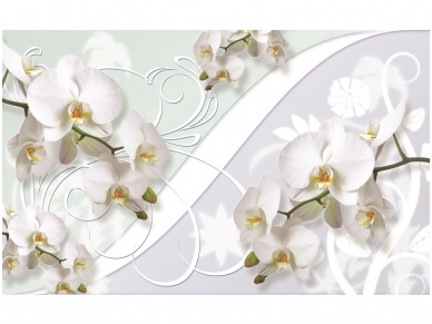 FOR WALL fototapetai 1206VE M FOR WALL fototapetai 1206VE M