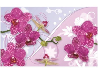 FOR WALL fototapetai 1207VE XXL