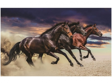 FOR WALL fototapetai 1217VE XXL