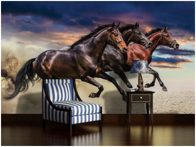 FOR WALL fototapetai 1217VE XXL 1