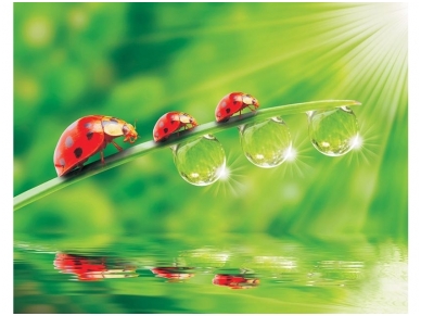 FOR WALL fototapetai 0121VE XXL FOR WALL fototapetai 0121VE XXL