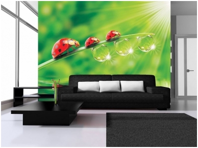 FOR WALL fototapetai 0121VE XXXL 1