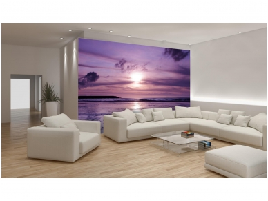 FOR WALL fototapetai 0122VE XXL 1