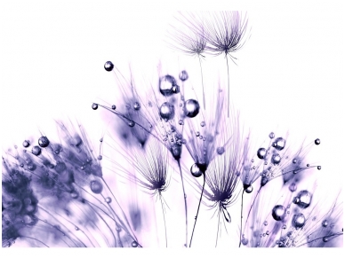FOR WALL fototapetai 0124VE P8