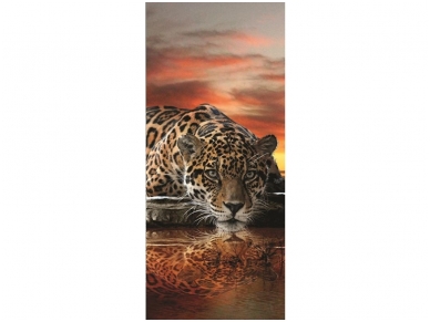 FOR WALL fototapetai 0126VET