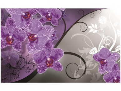 FOR WALL fototapetai 1280VE XXL