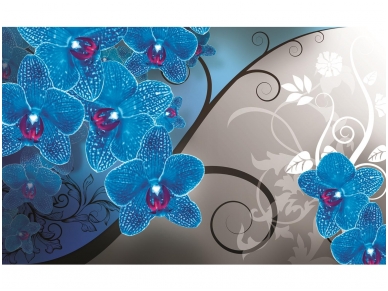 FOR WALL fototapetai 1281VE XXXL