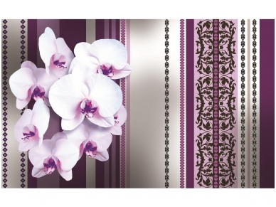 FOR WALL fototapetai 1282VE XXL FOR WALL fototapetai 1282VE XXL