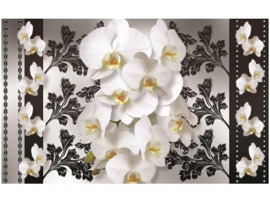 FOR WALL fototapetai 1286VE P4 FOR WALL fototapetai 1286VE P4