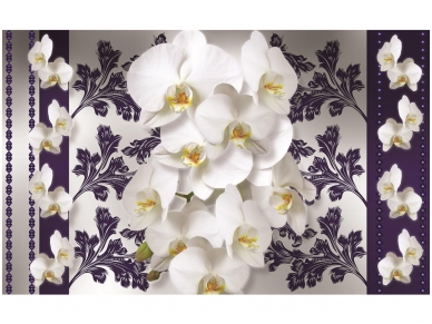 FOR WALL fototapetai 1289VE XXL