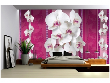 FOR WALL fototapetai 1291VE XXL 1