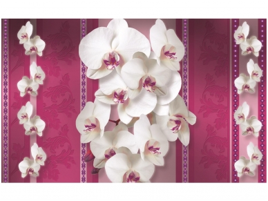 FOR WALL fototapetai 1291VE XXXL