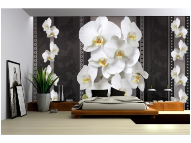 FOR WALL fototapetai 1292VE XXL 1