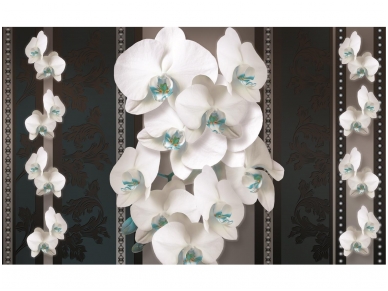 FOR WALL fototapetai 1293VE XXL