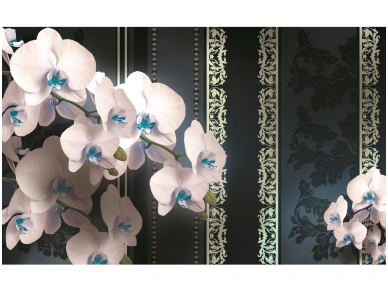 FOR WALL fototapetai 1296VE XXXL
