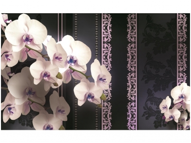 FOR WALL fototapetai 1297VE XXXL