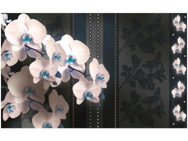 FOR WALL fototapetai 1301VE XXXL