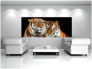 FOR WALL fototapetai 0130VE XXL 2