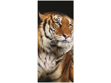 FOR WALL fototapetai 0130VET