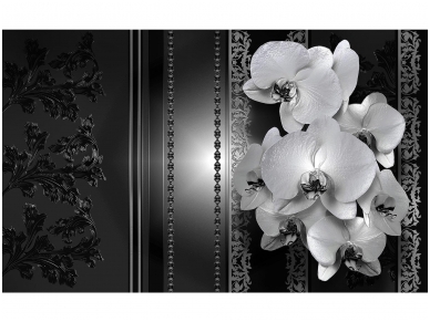 FOR WALL fototapetai 1327VE XXXL