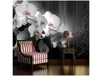 FOR WALL fototapetai 1328VE XXXL 1