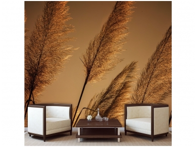 FOR WALL fototapetai 1331VE P8 1