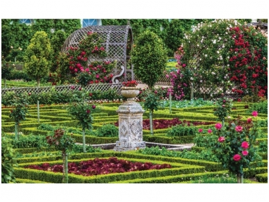 FOR WALL fototapetai 1336VE L