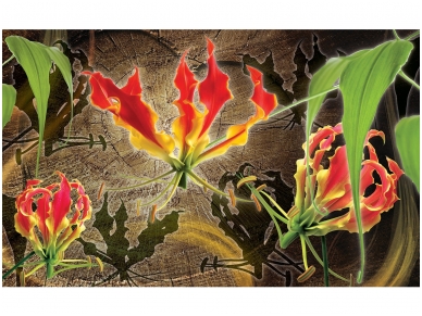 FOR WALL fototapetai 1369VE XXXL