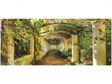 FOR WALL fototapetai 0136VEP