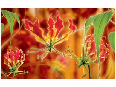 FOR WALL fototapetai 1371VE XXXL
