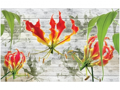 FOR WALL fototapetai 1373VE XXXL