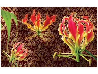 FOR WALL fototapetai 1374VE XXXL