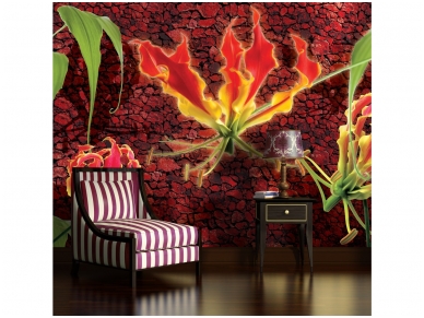 FOR WALL fototapetai 1387VE XXL 2
