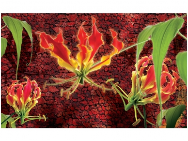 FOR WALL fototapetai 1387VE XXXL