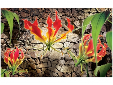 FOR WALL fototapetai 1392VE L