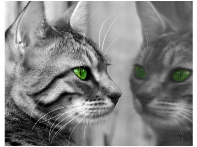 FOR WALL fototapetai 0139VE XXL FOR WALL fototapetai 0139VE XXL