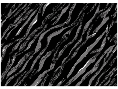 FOR WALL fototapetai 1428VE XXXL