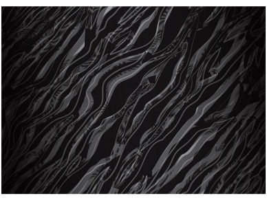 FOR WALL fototapetai 1429VE XXXL