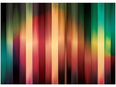 FOR WALL fototapetai 1434VE P4