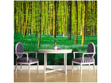 FOR WALL fototapetai 1438VE M 1