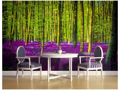 FOR WALL fototapetai 1439VE XXL 1