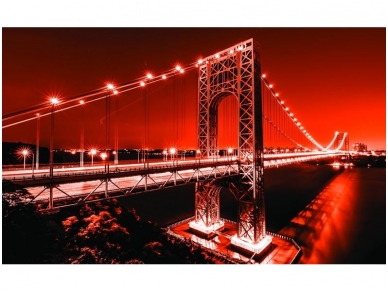 FOR WALL fototapetai 1441VE XL