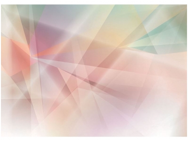 FOR WALL fototapetai 1469VE XL