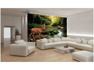 FOR WALL fototapetai 0147VE XXL 2 FOR WALL fototapetai 0147VE XXL 2