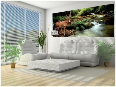 FOR WALL fototapetai 0147VEP 1 FOR WALL fototapetai 0147VEP 1