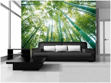 FOR WALL fototapetai 0150VE L 1