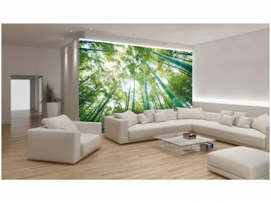 FOR WALL fototapetai 0150VE P8 3
