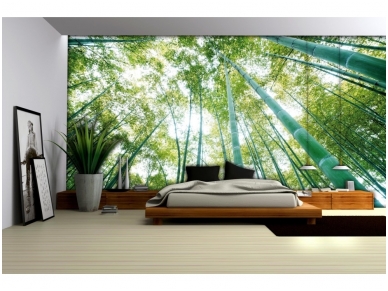 FOR WALL fototapetai 0150VE XXL 2